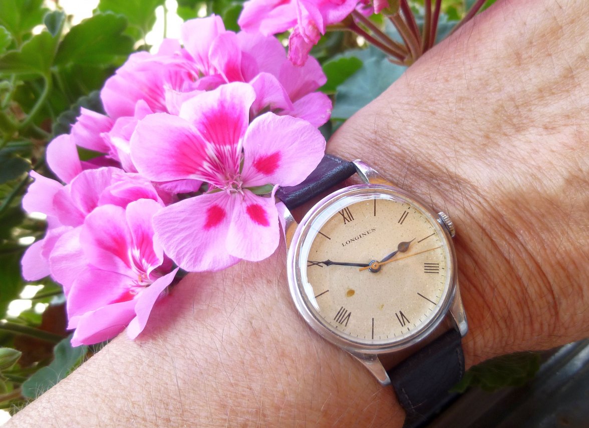 longines 4830 (9).JPG