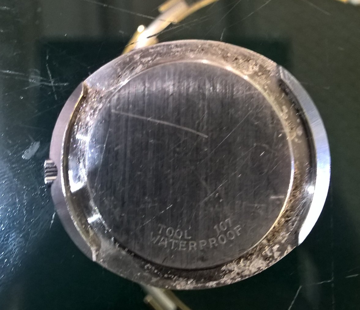 back cover omega (2).jpg