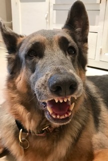 FullSizeRender (1).jpg