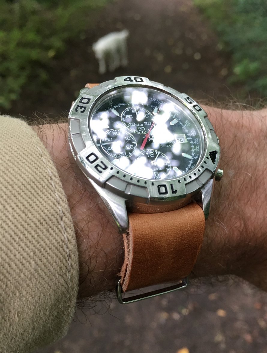 IMG_0972.JPG IMG_0972.JPG