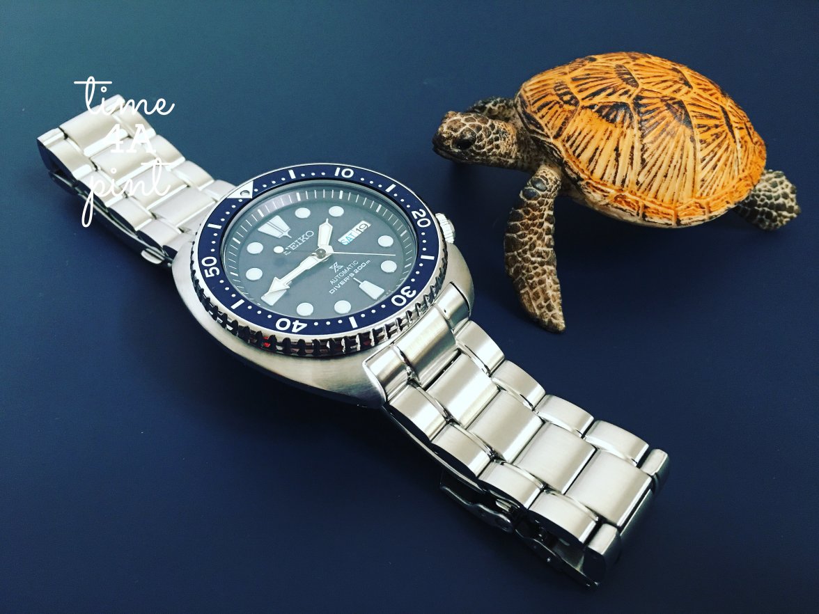 SeikoTurtle.jpg SeikoTurtle.jpg