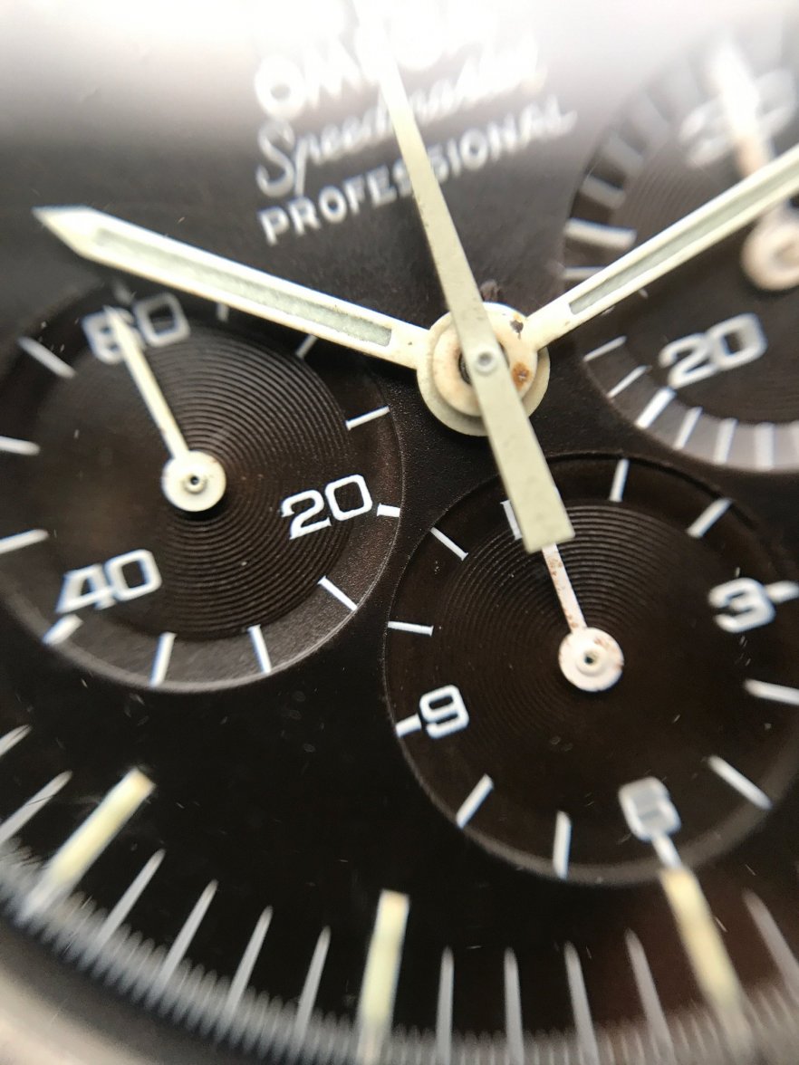 IMG_7599.JPG IMG_7599.JPG