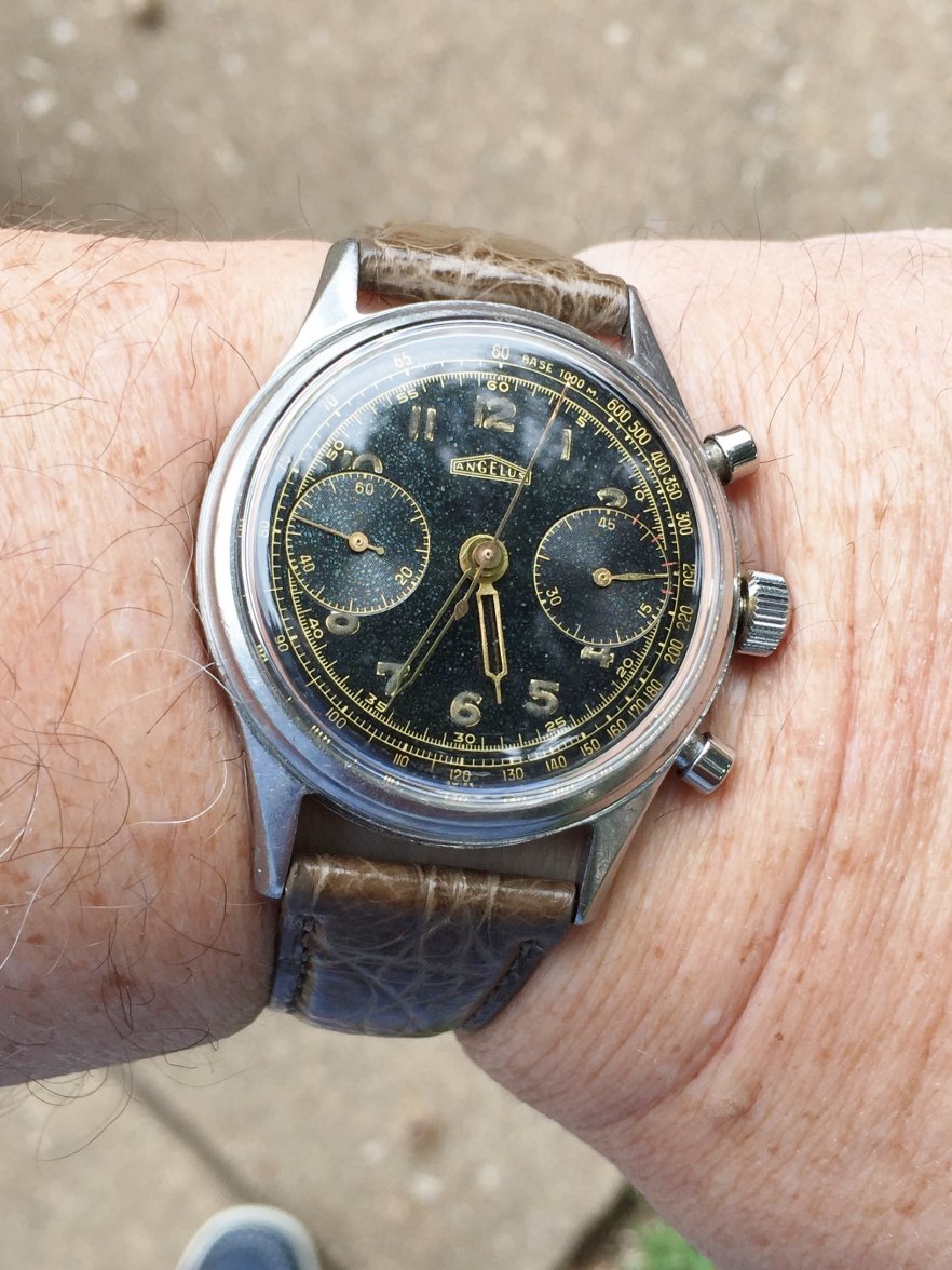 Angelus 215 post COA 2017.JPG