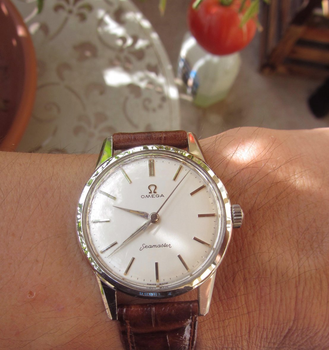 omega 285 WS 1.jpg