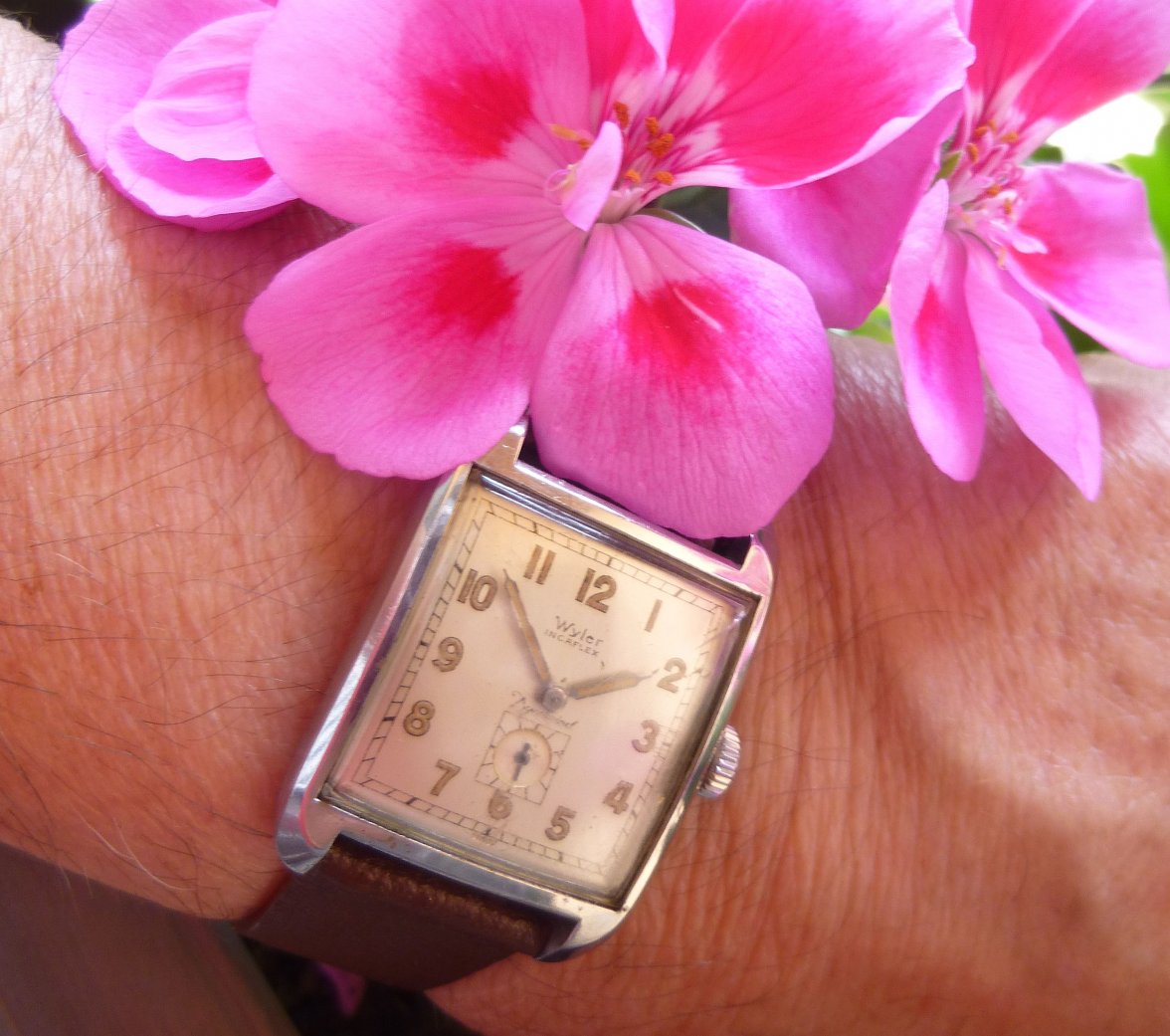 wyler clamshell (9b).JPG