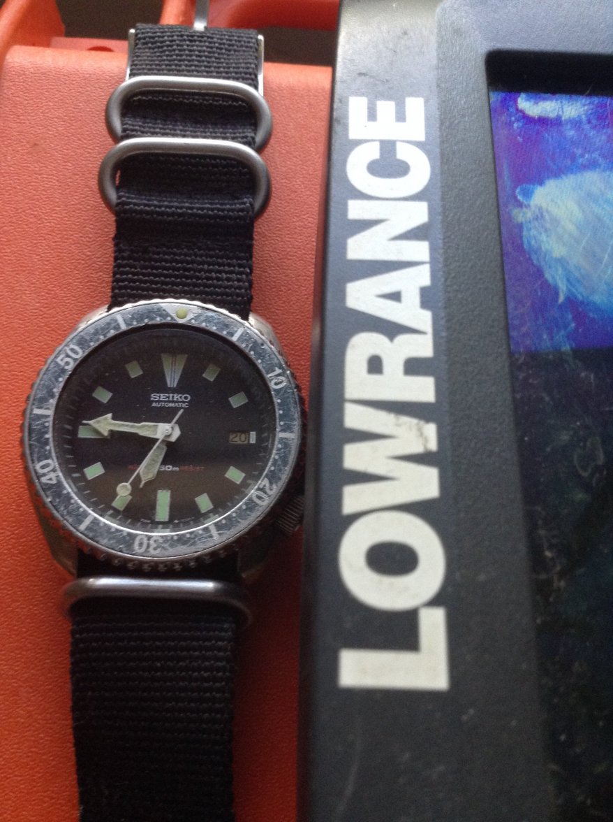 image.jpeg image.jpeg