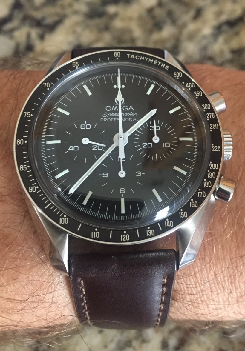 Speedy Cordovan.jpg Speedy Cordovan.jpg