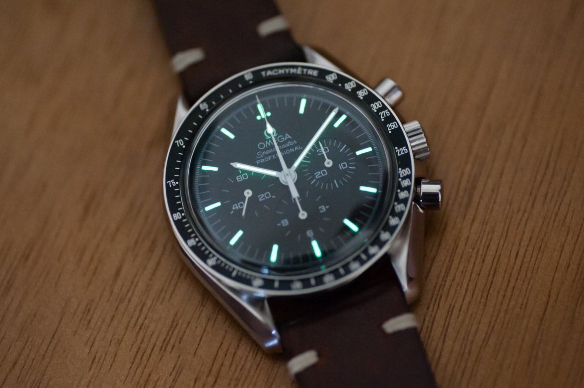 speedie (1 of 1).jpg