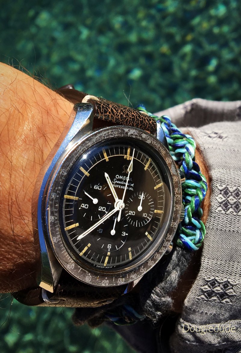 Photo May 09, 5 13 40 PM.jpg