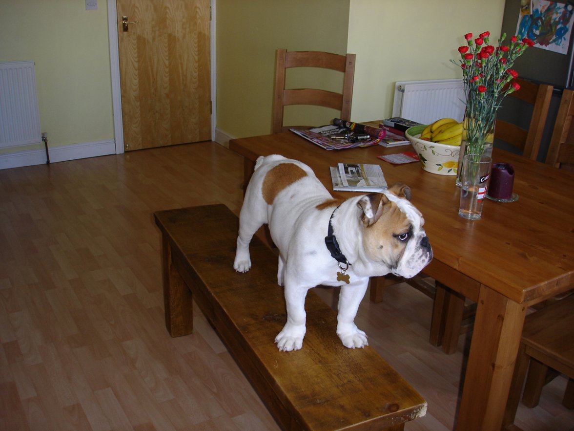 Chunky - 6 months 022.jpg