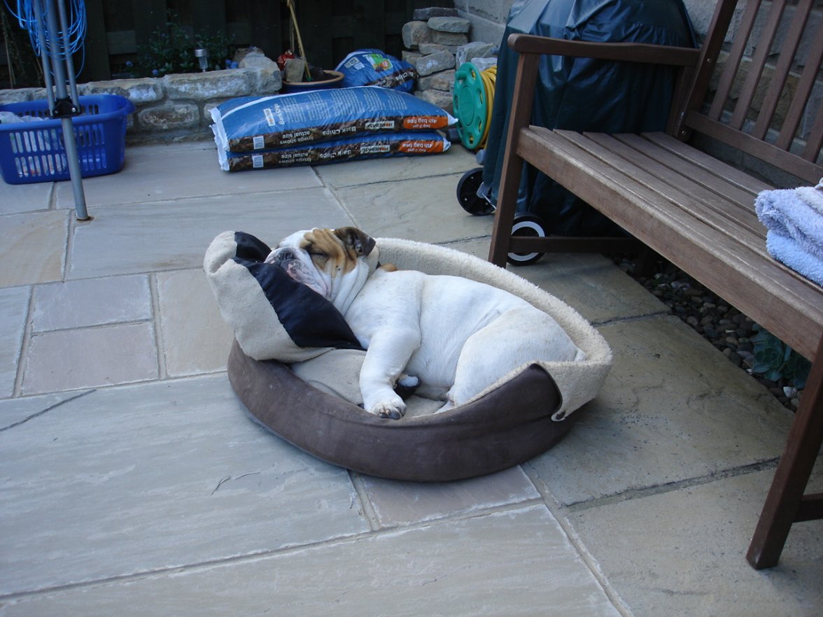 Chunky Spring 2009 045.jpg