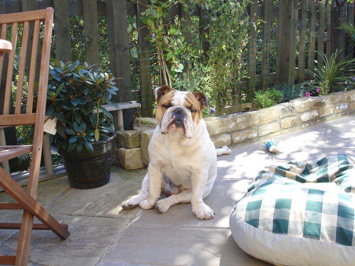 Budapest 2009 064.jpg