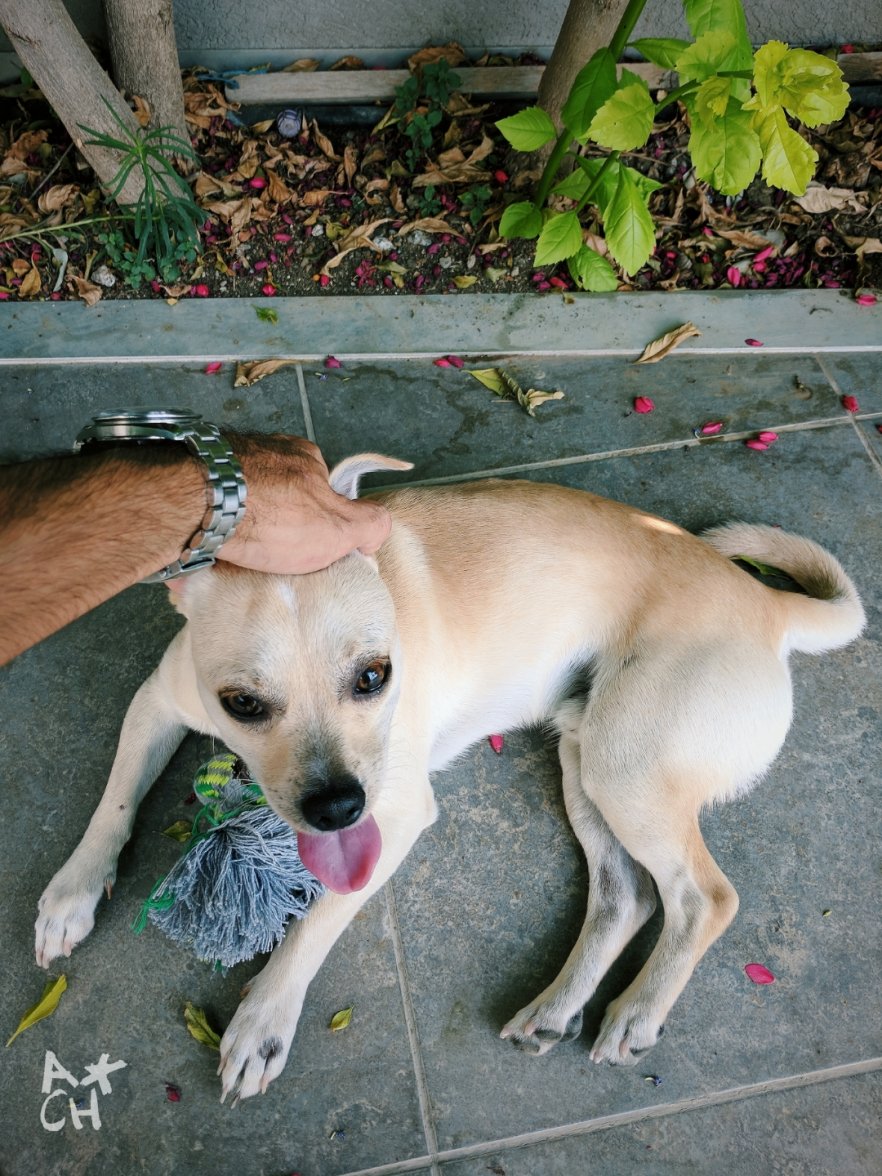 2017-09-19 05.43.31 2.jpg