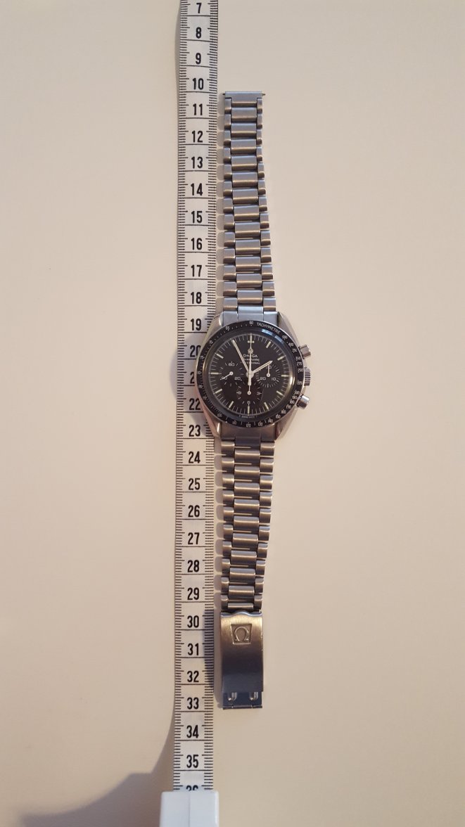 full length band.jpg