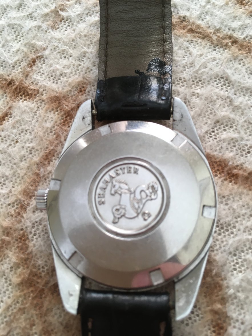 47D26DFE-6158-495D-8E2A-9B19AEF3504C.jpeg 47D26DFE-6158-495D-8E2A-9B19AEF3504C.jpeg