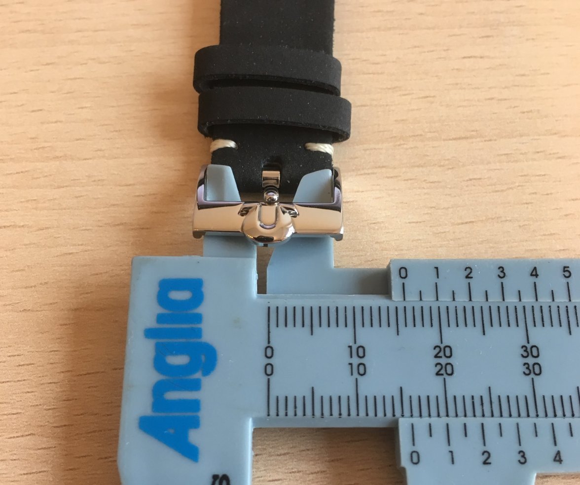 Photo 29 Buckle width leather strap.jpg