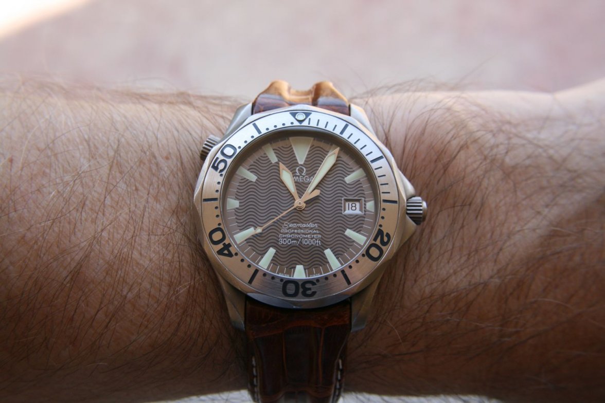 seamaster1.jpg