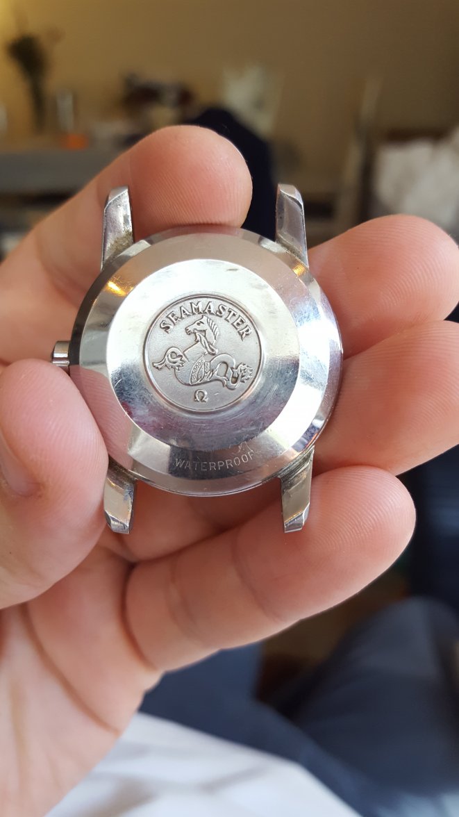 case back good lighting.jpg