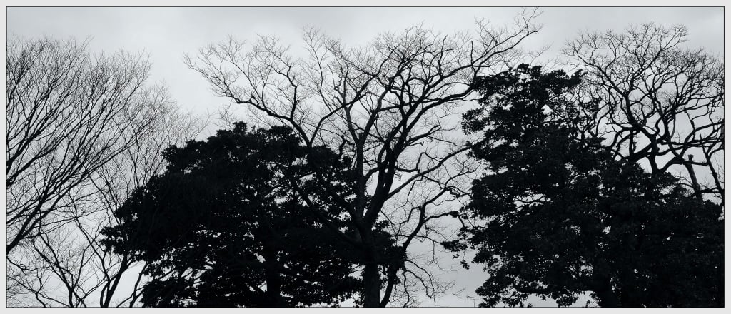 tomari4 012tf24k.jpg