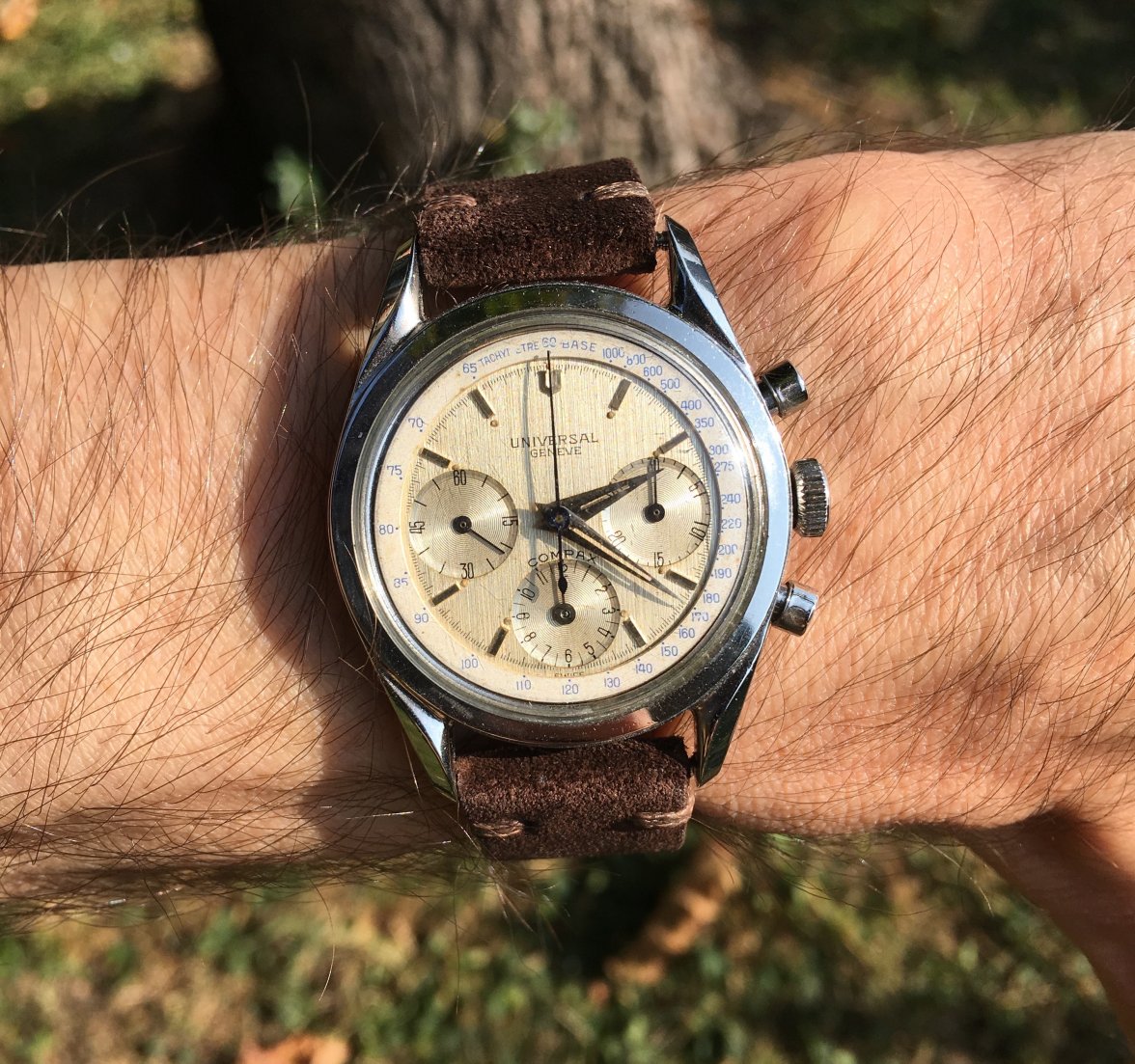 Copia di IMG_1349.jpg