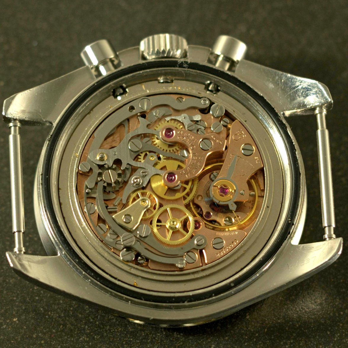 1-2017-10-29-10.05.47 ZS PMax.jpg