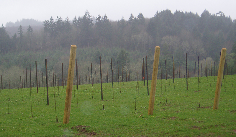 030207-2-installing-in-row-posts-and-pencil-rod.jpg 030207-2-installing-in-row-posts-and-pencil-rod.jpg