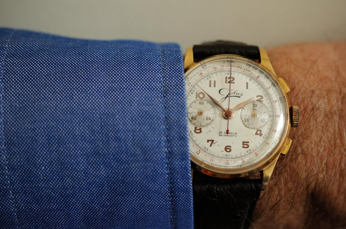 Jolus L48_111117 8425.jpg