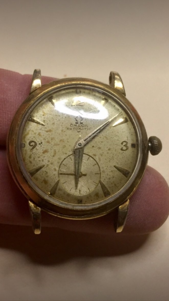 IMG_3383.jpeg IMG_3383.jpeg