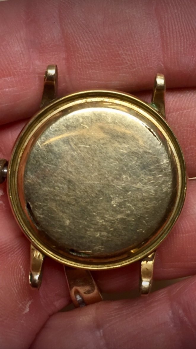 IMG_3385.jpeg IMG_3385.jpeg