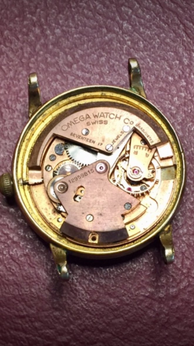 IMG_3382.jpeg IMG_3382.jpeg