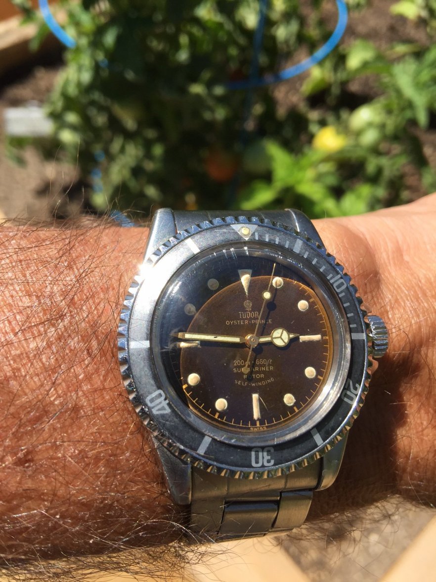 Tudor Sub in Topanga.JPG Tudor Sub in Topanga.JPG