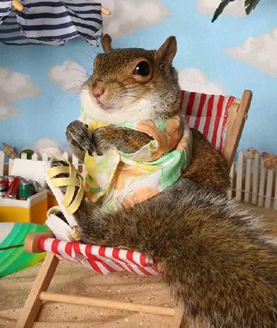 02-Anthropomophism-Animals-Dressed-as-Humans-Squirrel-on-Beach.jpg