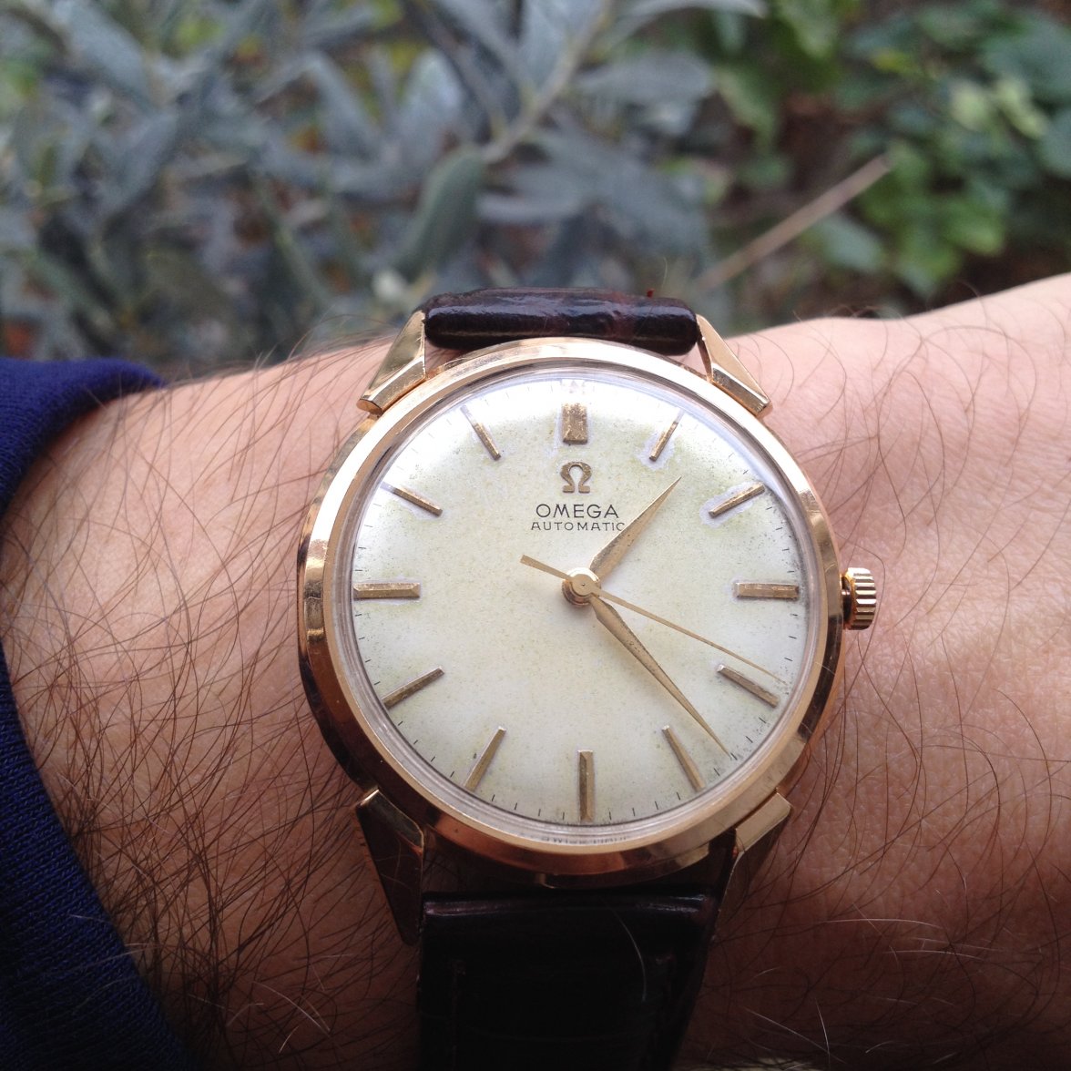 IMG_6861.JPG IMG_6861.JPG