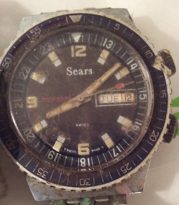 Sears Diver 1.jpg