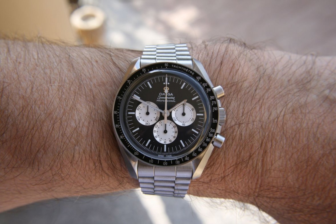 Speedy Tuesday 1447.jpg