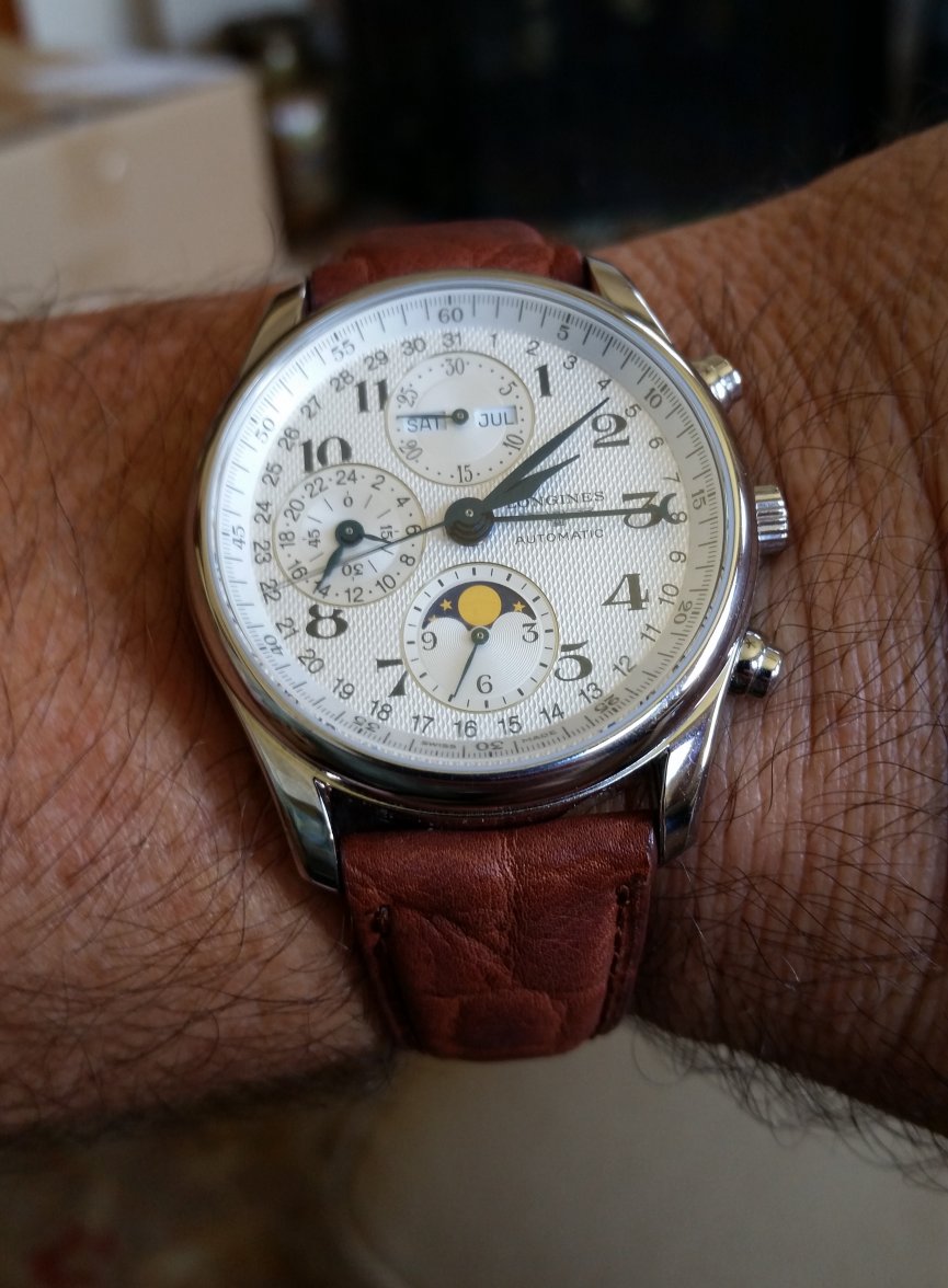 Bison wrist shot.jpg