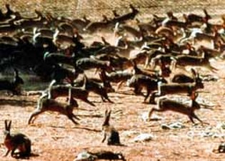 image.jpeg image.jpeg