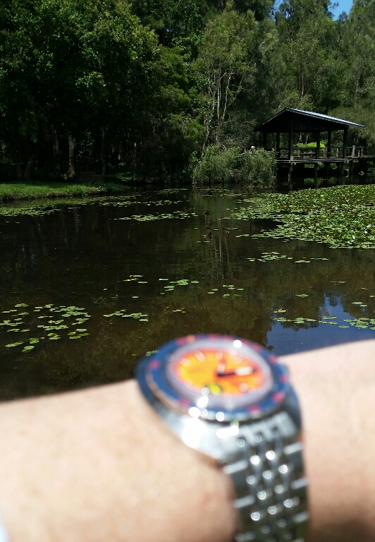 2017-12-14 13.21.29.jpg