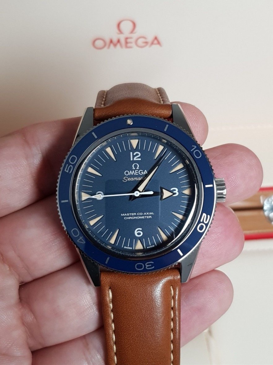 Omega Seamaster.jpg