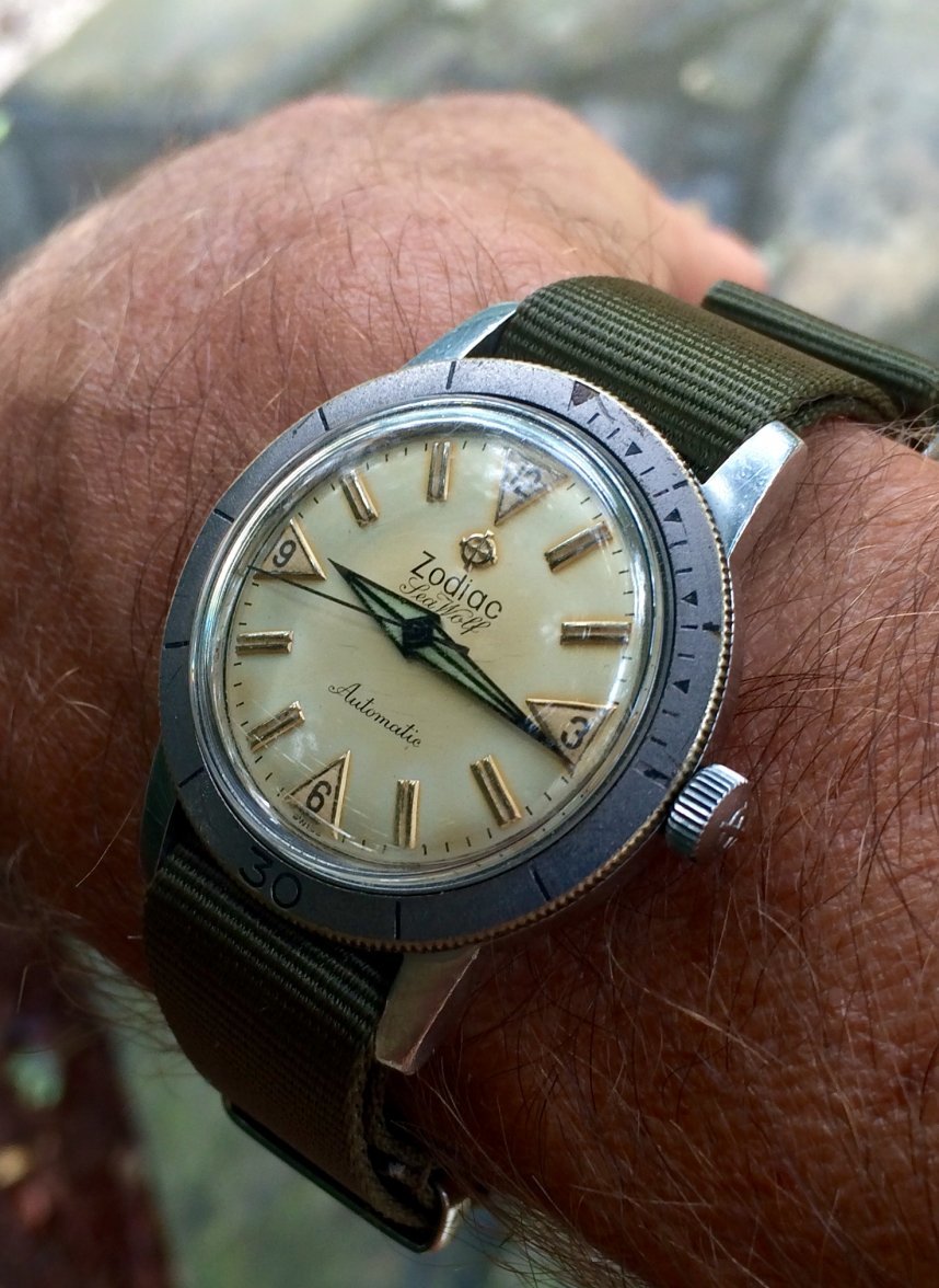 Incoming - Vintage Zodiac Seawolf | Omega Forums