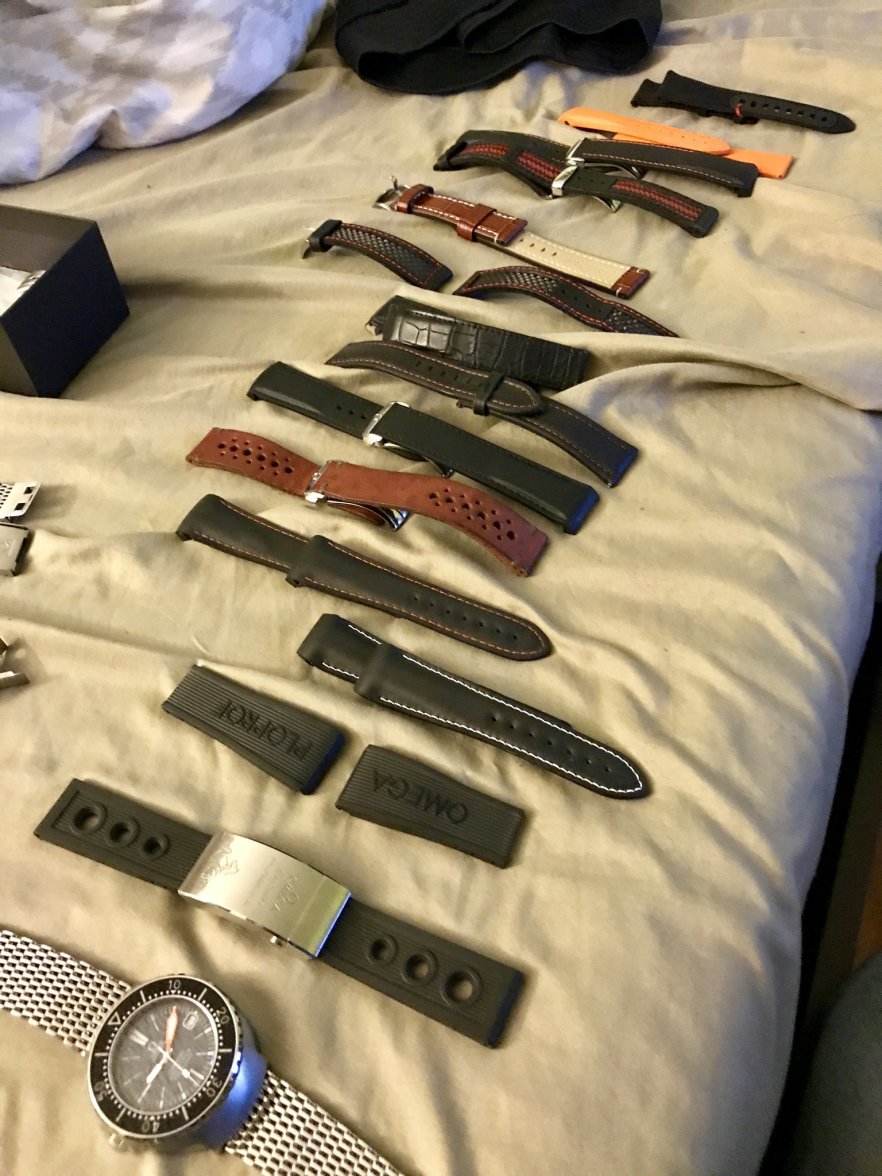 95275D04-EA10-4D89-9693-A9438E5785B1.jpeg 95275D04-EA10-4D89-9693-A9438E5785B1.jpeg