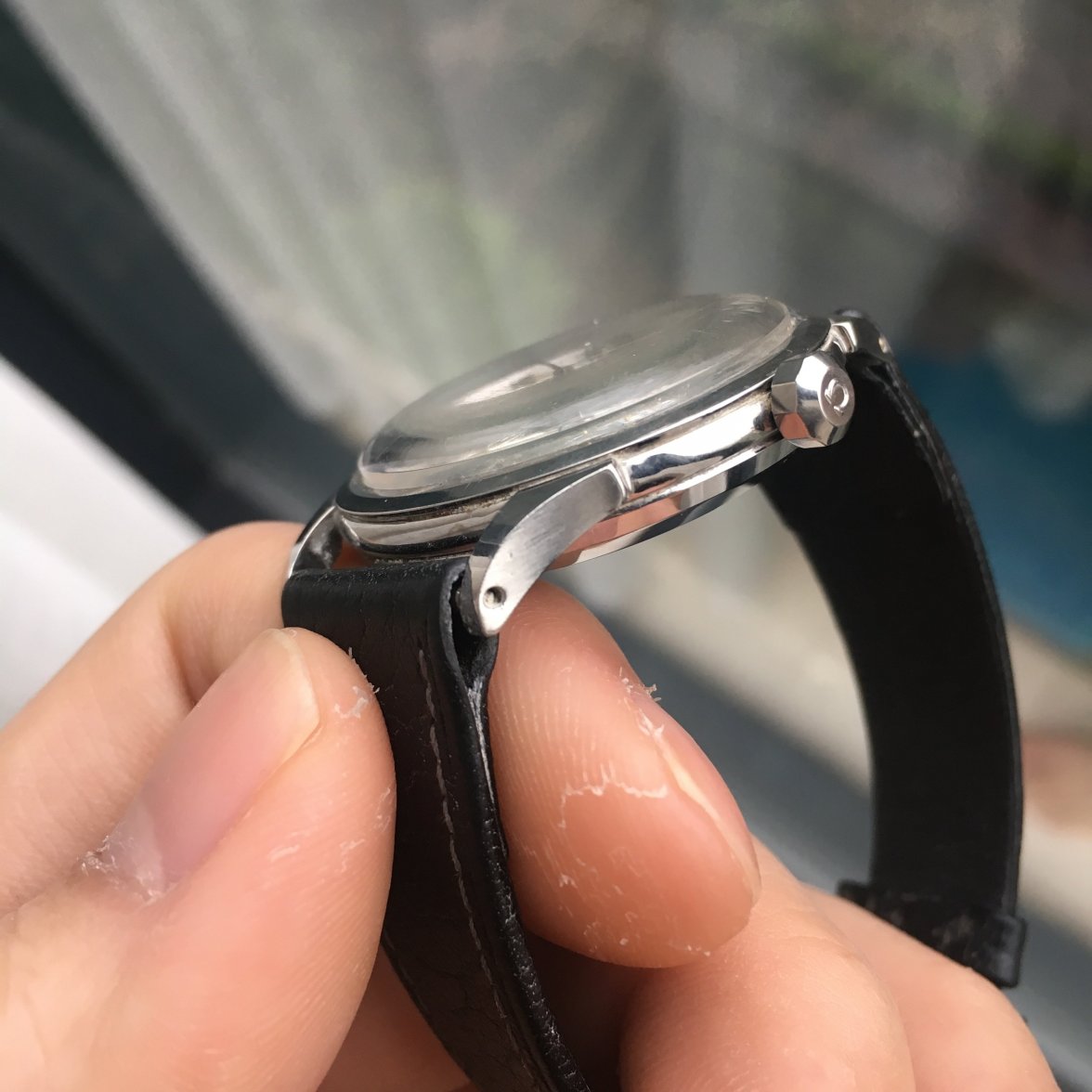 78F6A243-D57F-47CC-86CE-E33C63B8CEE8.jpeg 78F6A243-D57F-47CC-86CE-E33C63B8CEE8.jpeg