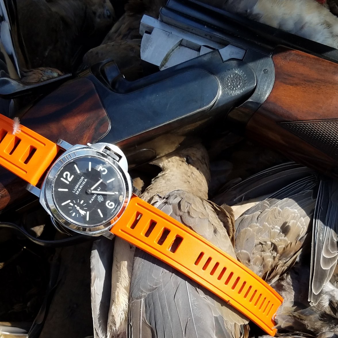 IMG_20170902_154757_682.jpg IMG_20170902_154757_682.jpg