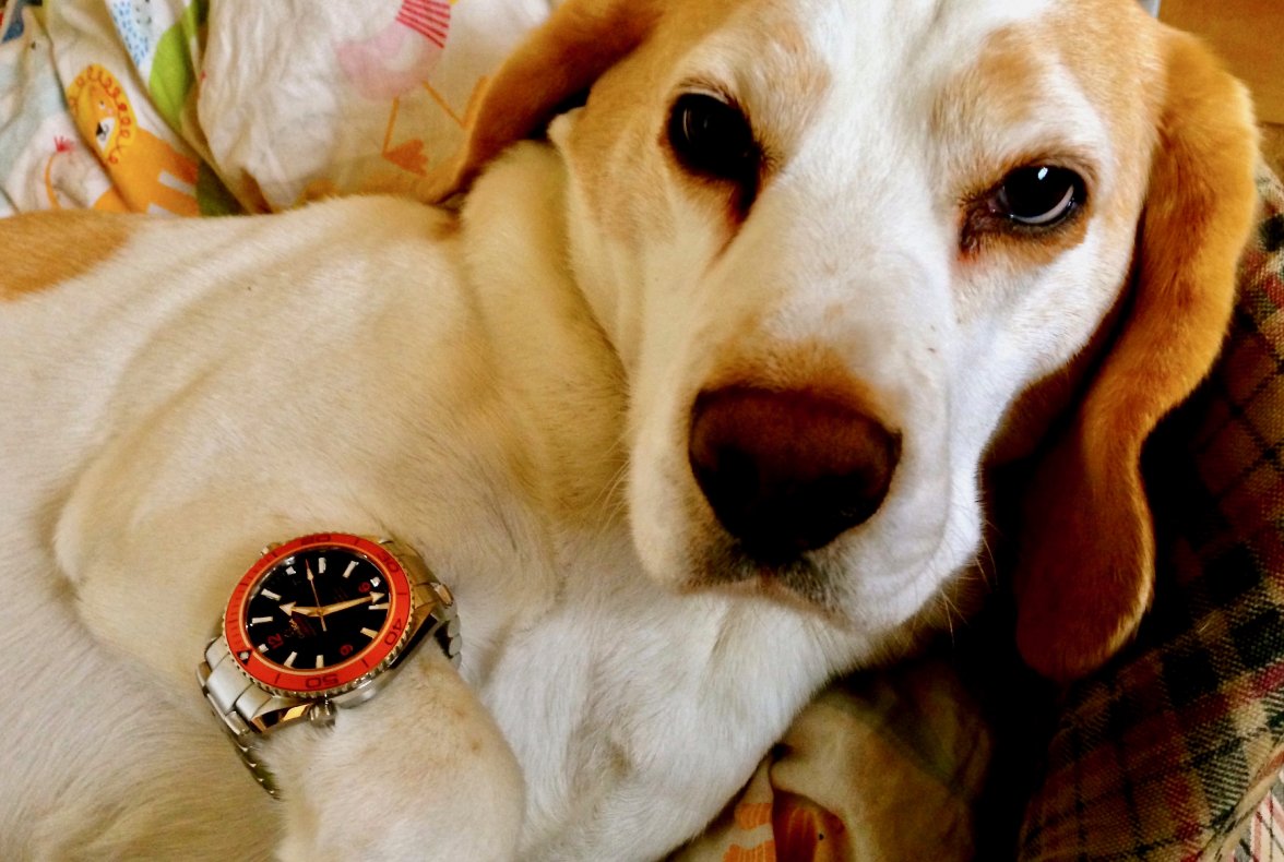 Screen Shot 2017-12-21 at 18.27.20.jpg