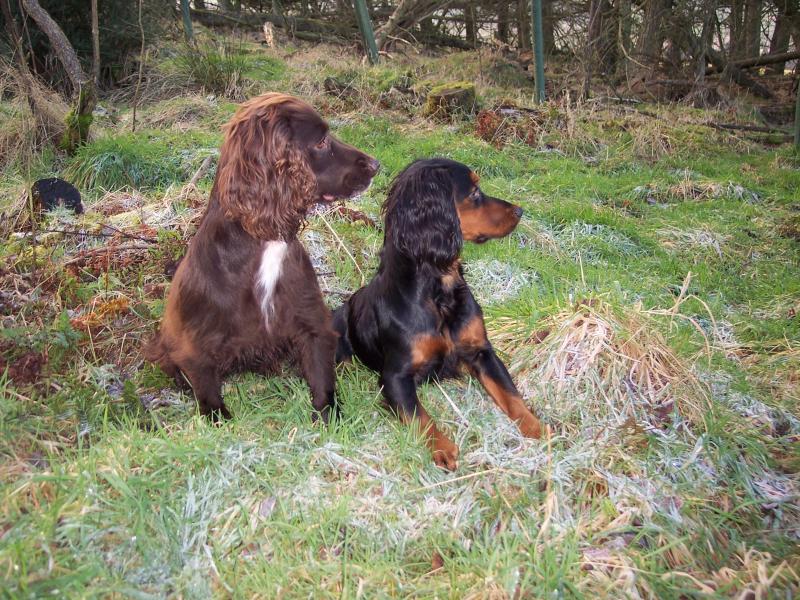 BOGNIE151214 KASHISA.jpg