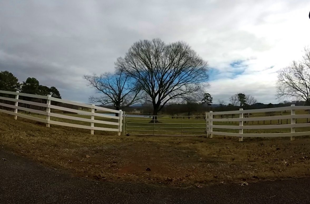 blue tree white fence.jpg