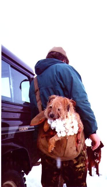 TALLA BLACKGAME  a.jpg