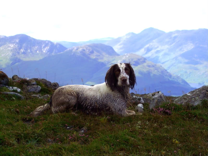 MISTY ABOVE FAIRWATER 7.jpg