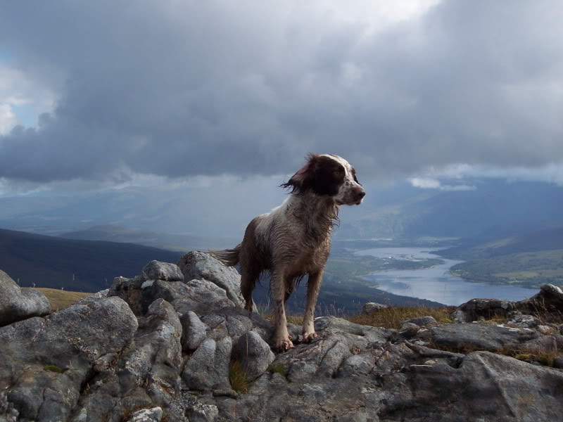 MISTY ABOVE FAIRWATER 8.jpg