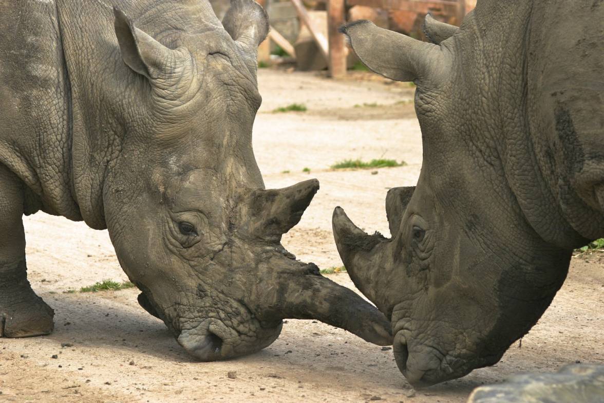 Scanned Photo-24.jpg